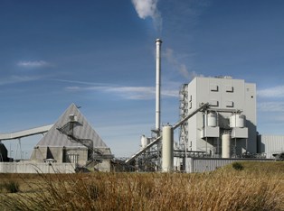 Energy giant E.ON, which burns waste wood at its Steven's Croft biomass plant at Lockerbie above, is one of the company's funding the REA campaign